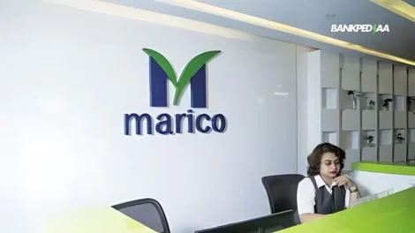 Bangladesh Blues Marico Share Price Falls A Cause for Concern